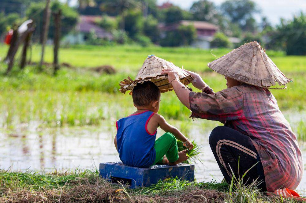 ilustrasi anak dan ibu di sawah (pexels.com/Mongkon Duangkhiew)