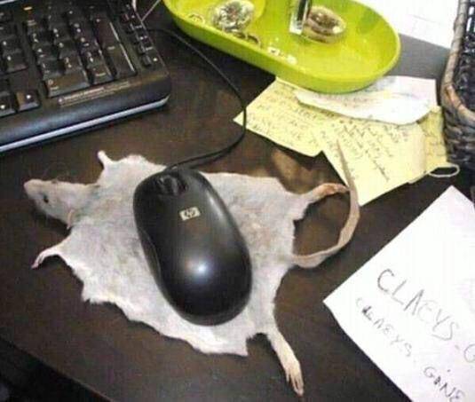 potret bentuk mouse dan mouse pad gak masuk akal (reddit.com/user/Fsf89)