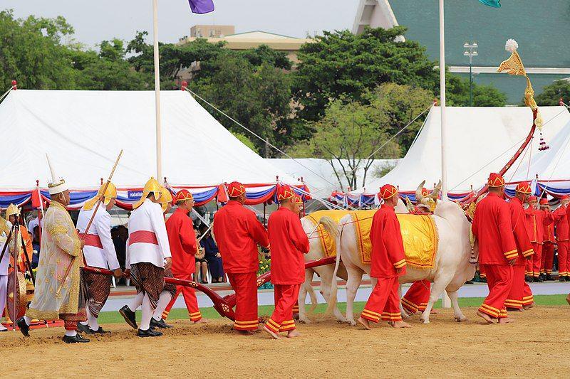 Royal Ploughing Ceremony (commons.wikimedia.org/Tris_T7)