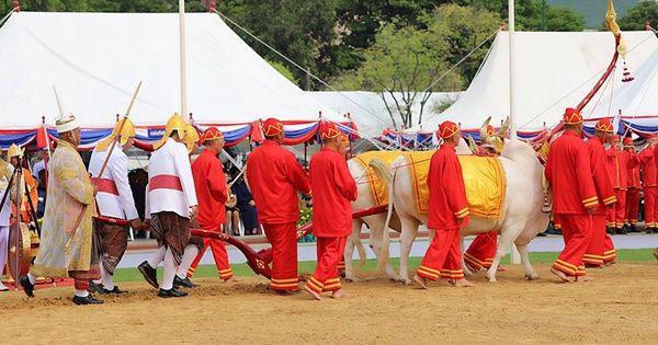 Royal Ploughing Ceremony (commons.wikimedia.org/Tris_T7)