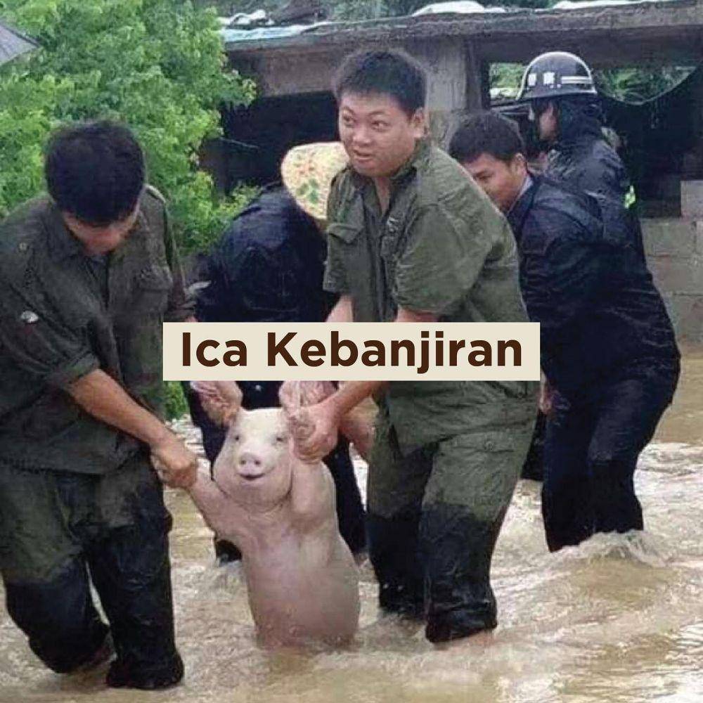 meme babi Ica (instagram.com.dagelan)
