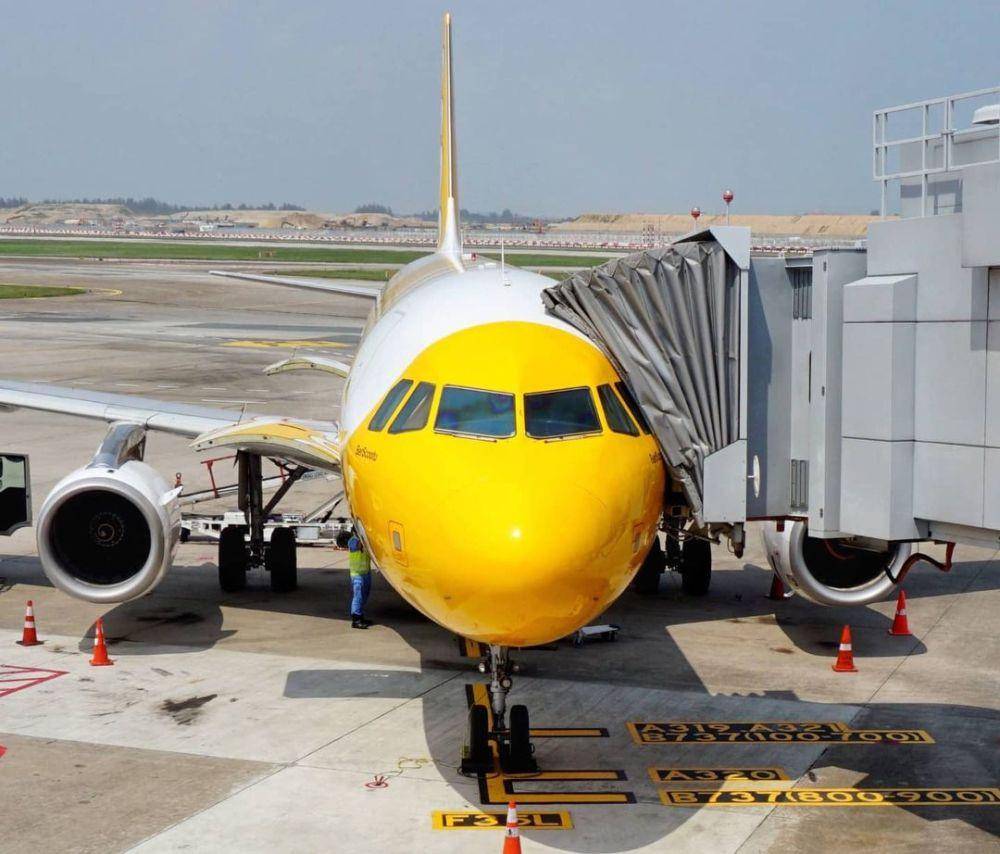 ilustrasi pesawat Scoot (Instagram/@flyscoot)