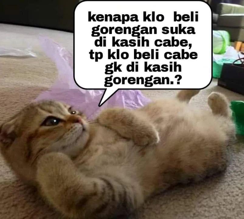 Ilustrasi kucing meratapi hidup (instagram.com/misterrr.0)