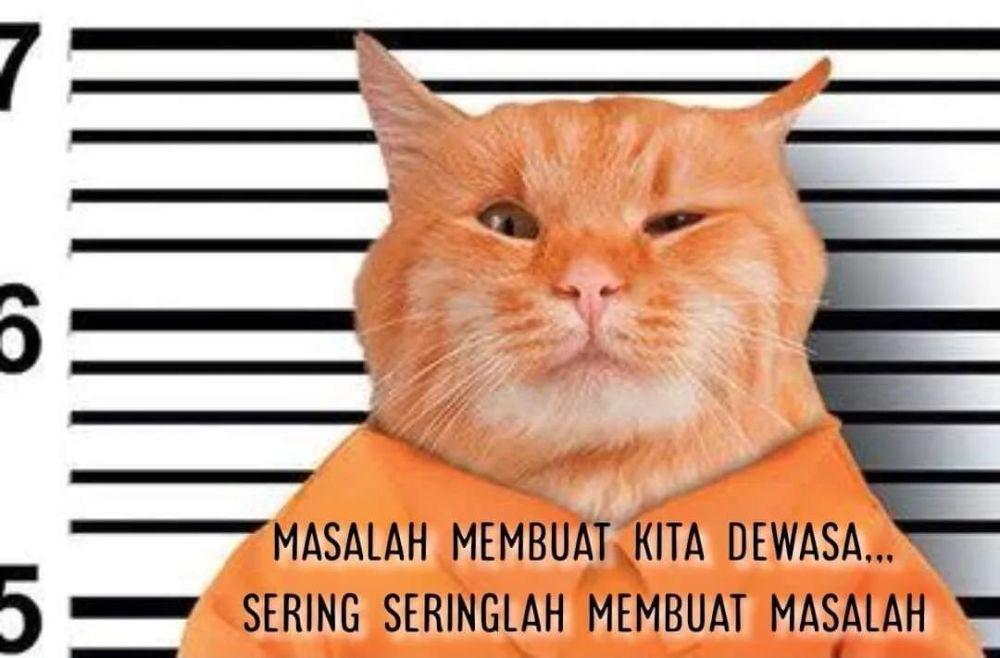 Ilustrasi kucing meratapi hidup (instagram.com/misterrr.0)