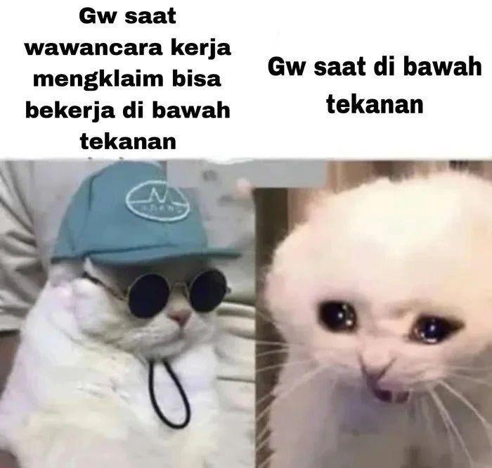Ilustrasi kucing meratapi hidup (instagram.com/misterrr.0)