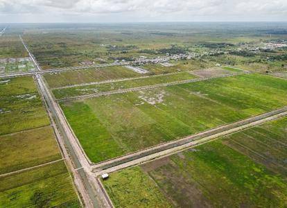 Food Estate Kabupaten Kapuas. (Dok. Kementan)
