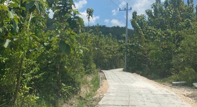Jalan Mirip Puzzle di Bojonegoro Beres, Ini Faktanya!