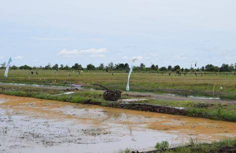 Manajemen tata air makro dan mikro menjadi kunci utama keberhasilan budi daya di lahan rawa di Kab. Kapuas dan Pulang Pisau. (Dok. Kementan)