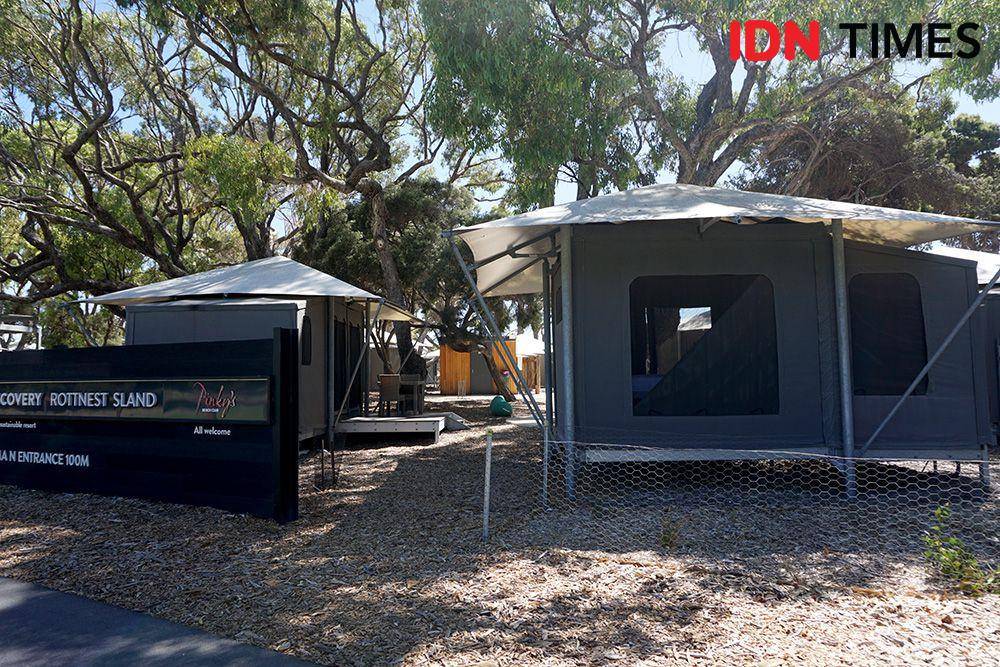 Lokasi Glamping Discovery Rottnest Island, Pantai Pink, Pulau Rottnest, Australia Barat (IDN Times/Arifin Al Alamudi)