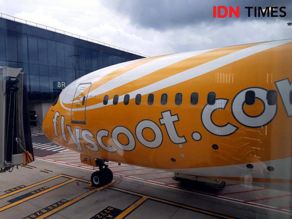 Pesawat Scoot rute Gold Coast Singapura (IDN Times/Anata)