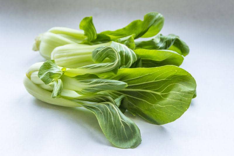 ilustrasi sayur pakcoy (pixabay.com/MetsikGarden)