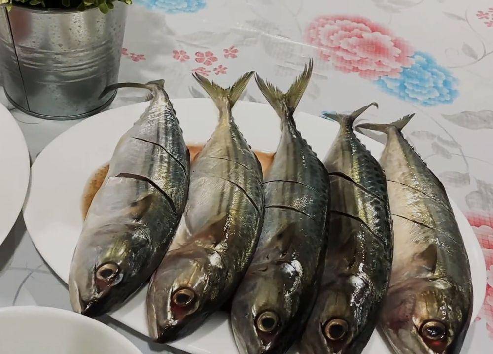 ilustrasi ikan kembung (YouTube.com/Resep Dapur Cantik)
