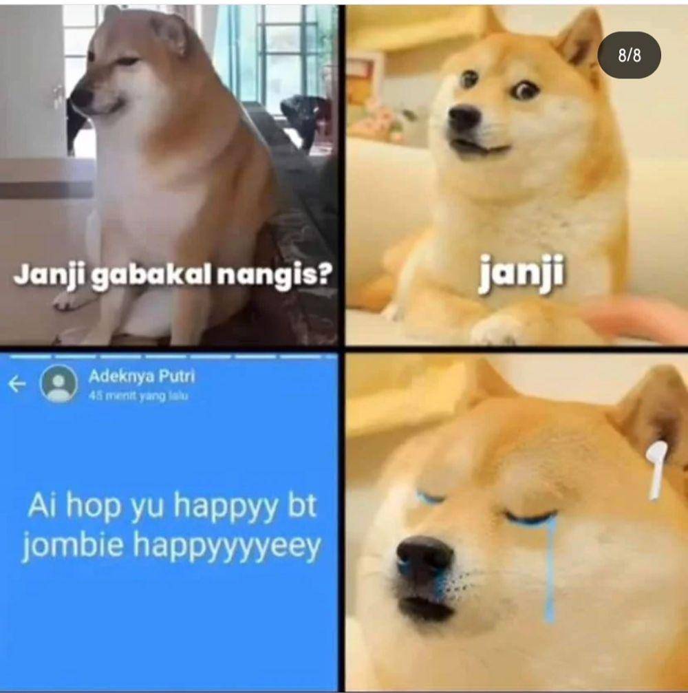 meme janji gak nangis (instagram.com/asupan.mim)