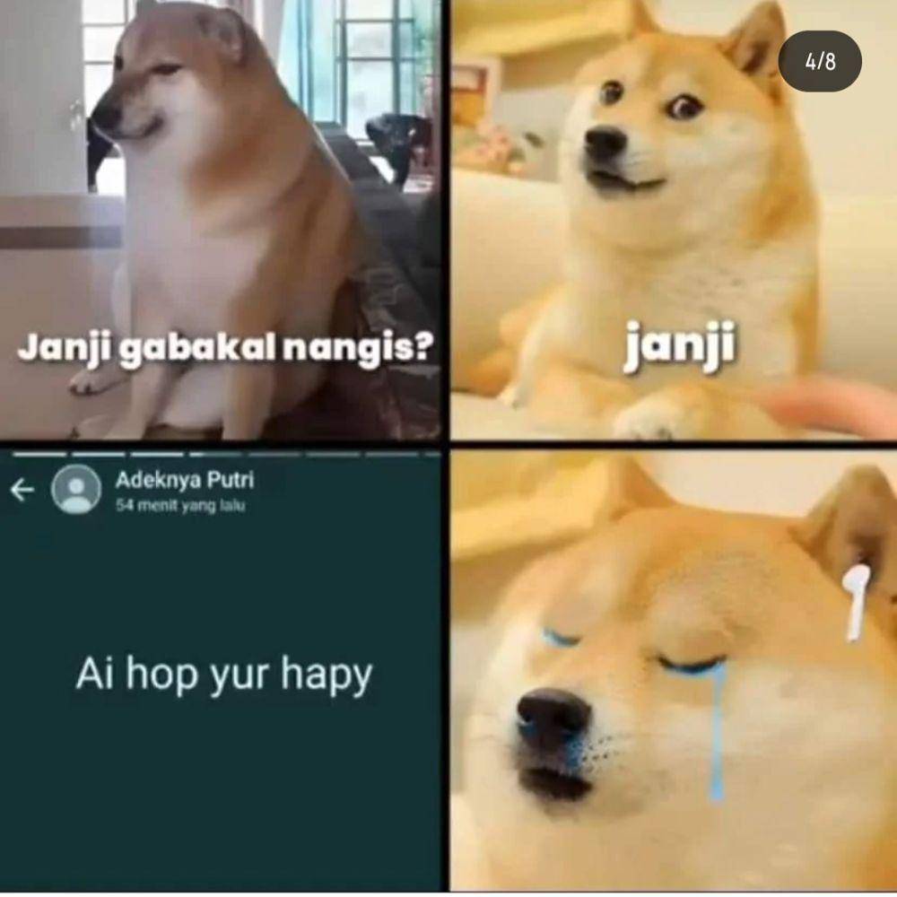 meme janji gak nangis (instagram.com/asupan.mim)
