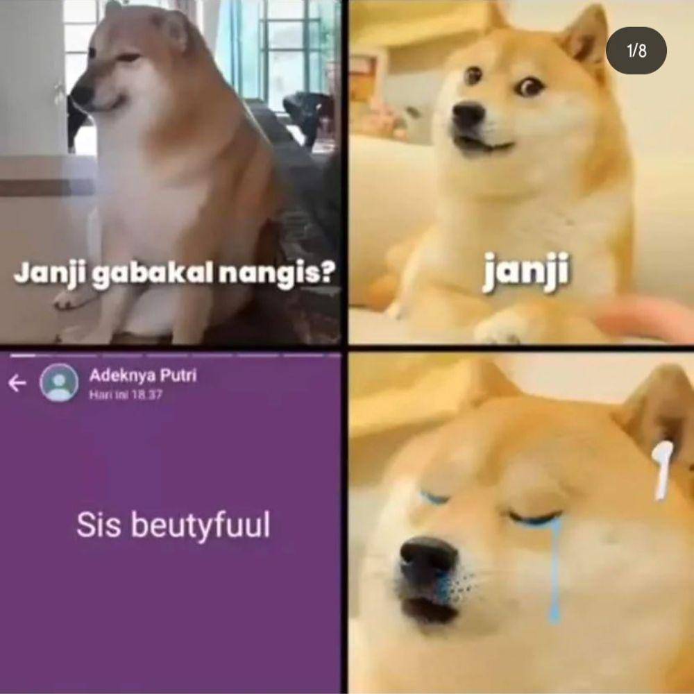meme janji gak nangis (instagram.com/asupan.mim)