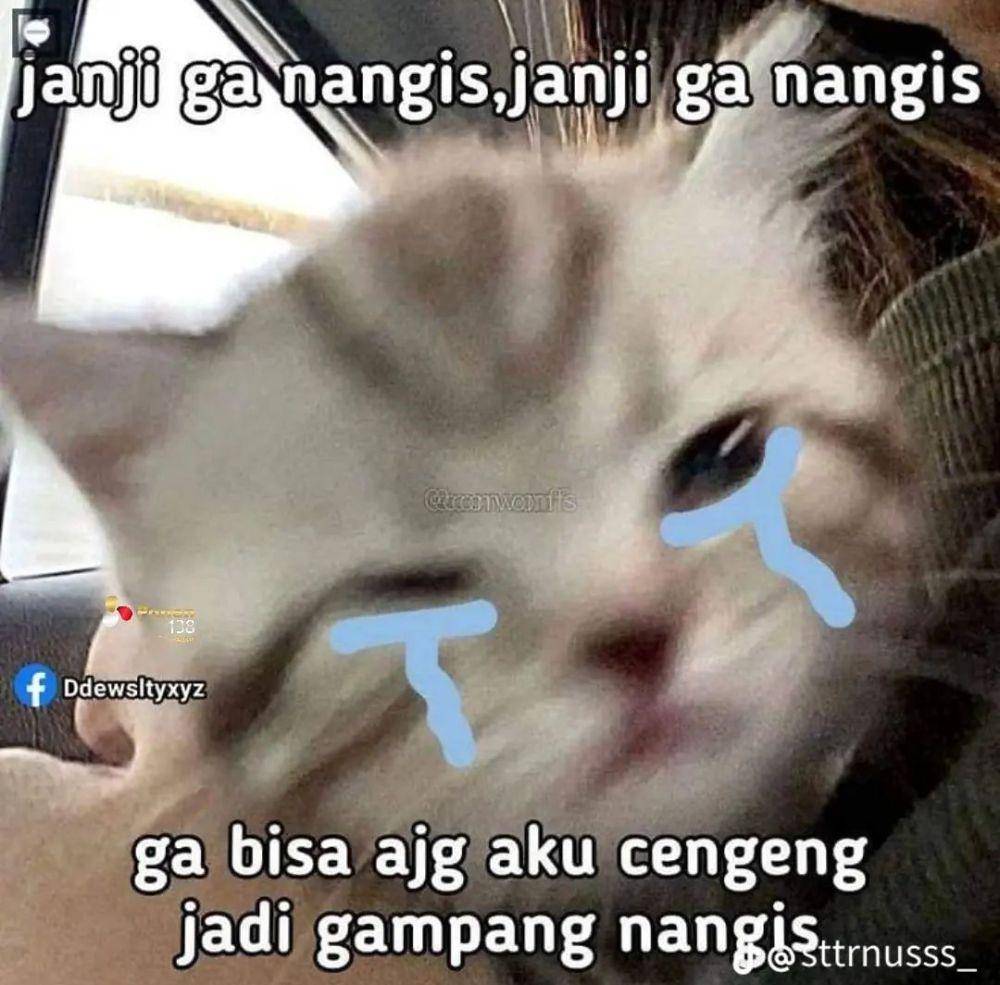 meme janji gak nangis (instagram.com/maysandratp)