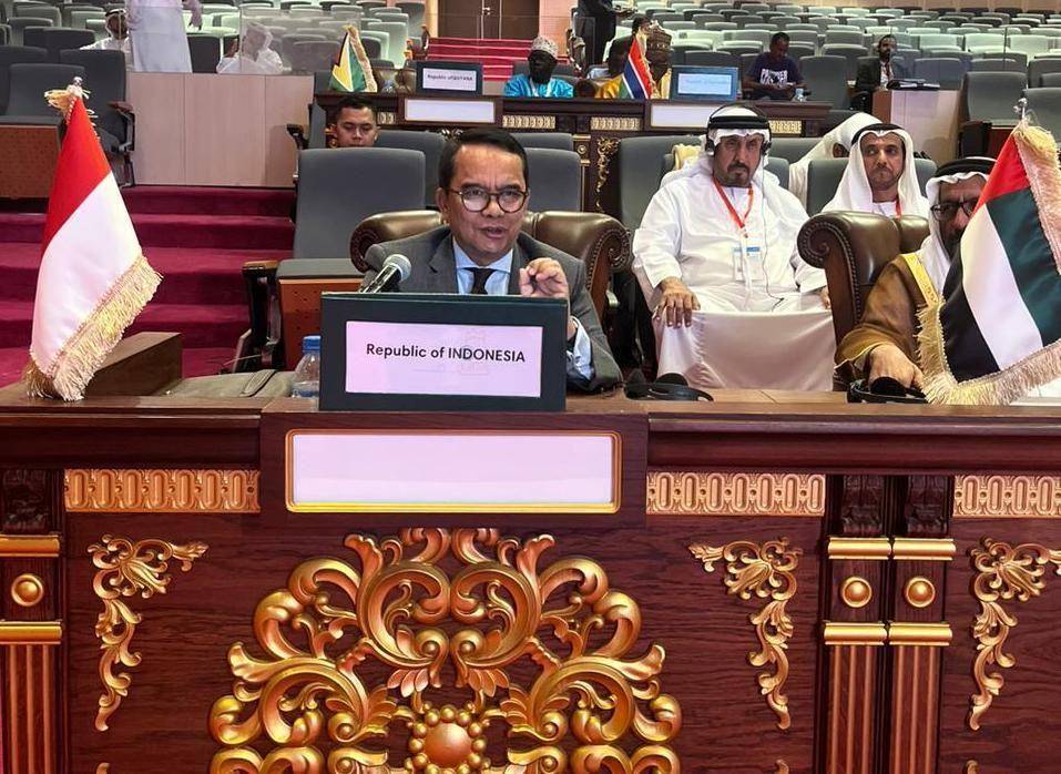 Direktur Jenderal Kerja Sama Multilateral Kemlu RI, Tri Tharyat. (dok. Kemlu RI