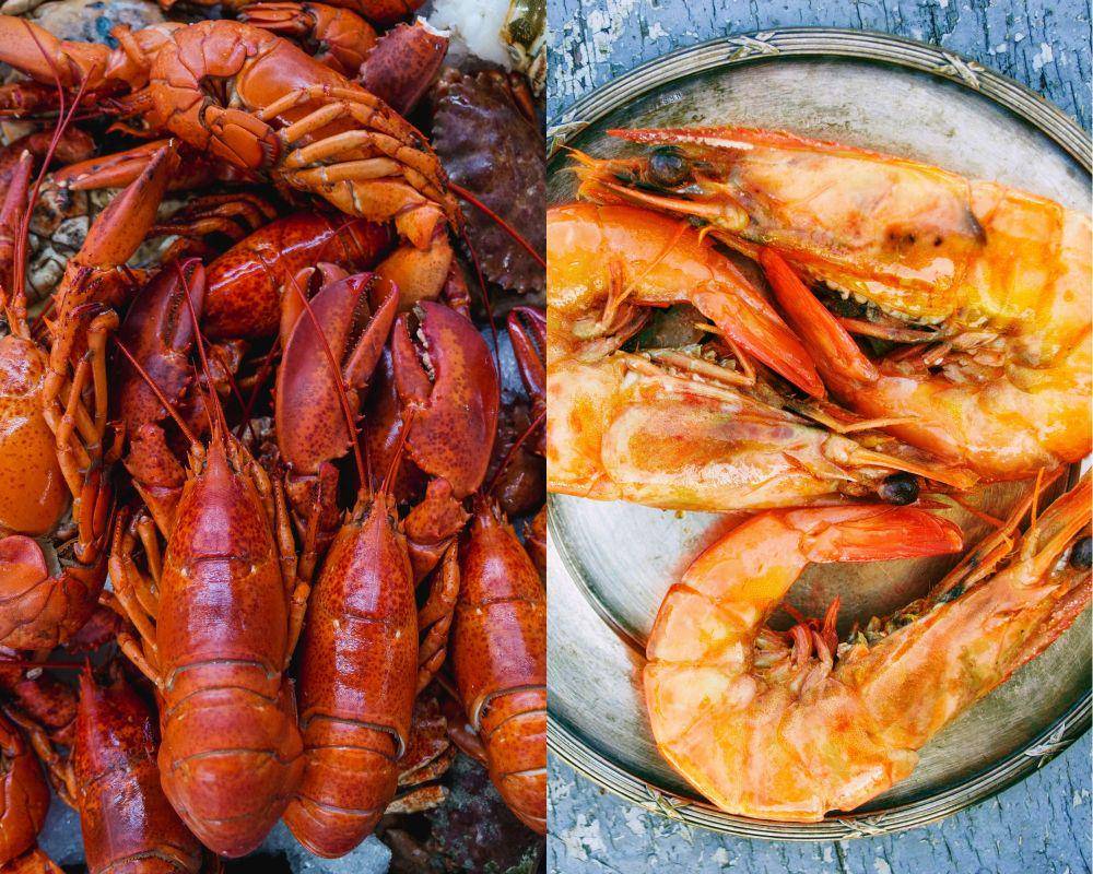 potret lobster dan udang (pexels.com/Kindel Media | pexels.com/Dana Tentis)