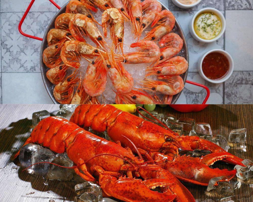 potret lobster dan udang (pixabay.com/ksbaeg | pexels.com/Nadin Sh)
