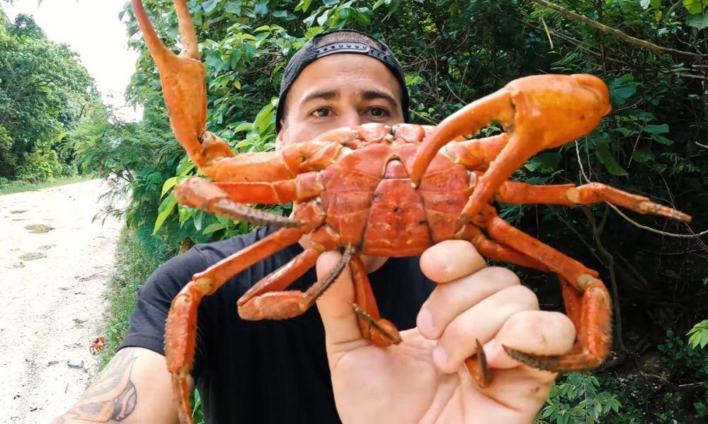potret kepiting merah (youtube.com/YBS Youngbloods)
