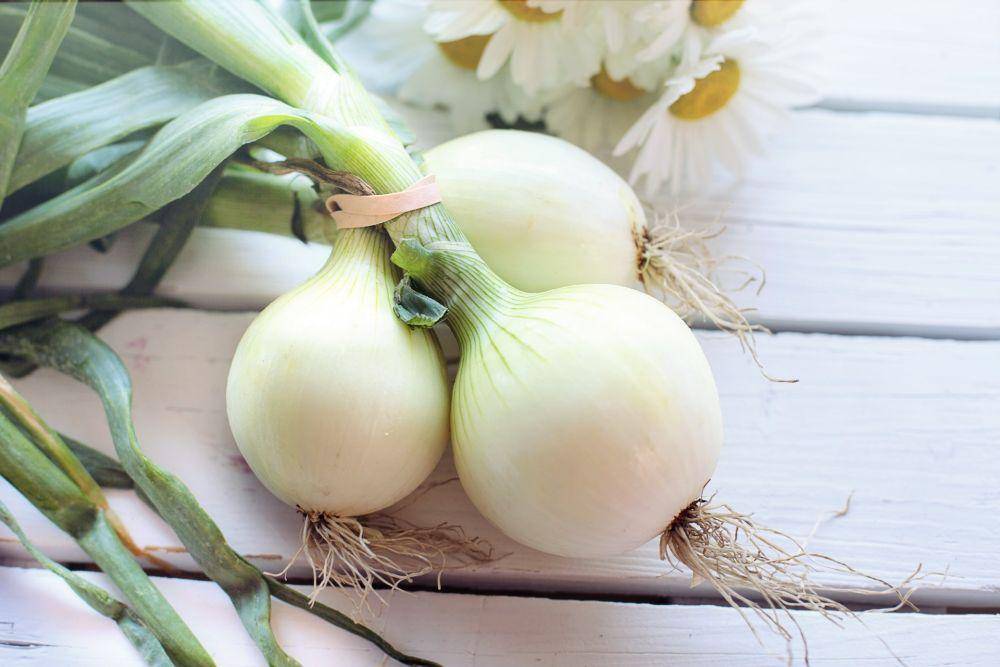 ilustrasi bawang(pexels.com/Pixabay)