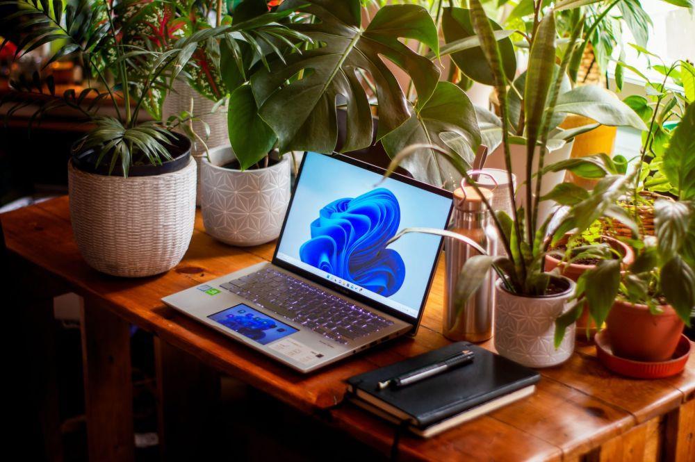 Bahaya! Update Baru Windows 11 Justru Munculkan Masalah pada PC
