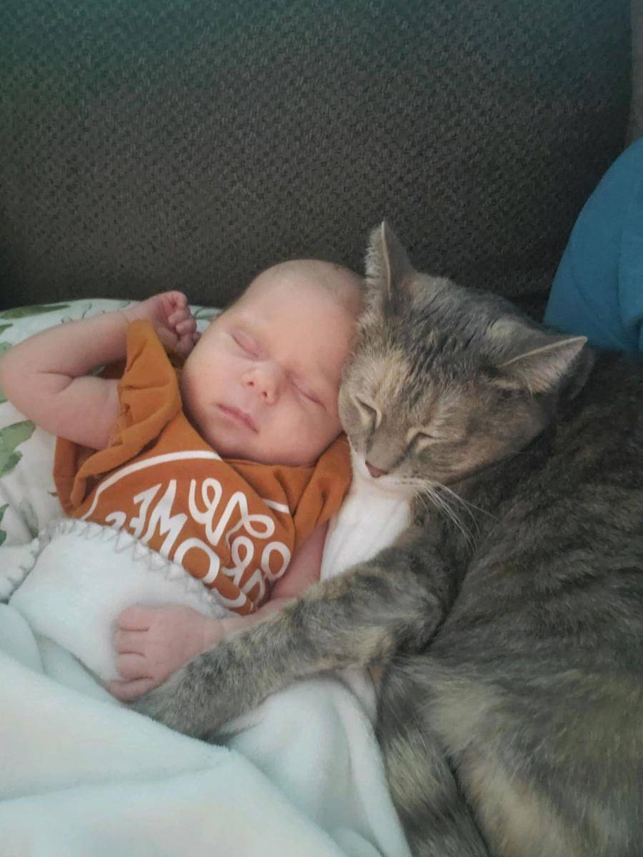 potret kucing ngejagain anak bayi (reddit.com/user/m1le_B)