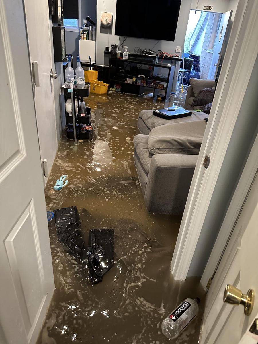 potret momen apes di apartemen (reddit.com/user/lucidsbx)