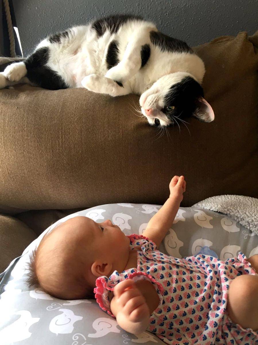potret kucing ngejagain anak bayi (reddit.com/user/ClydeSmithy)