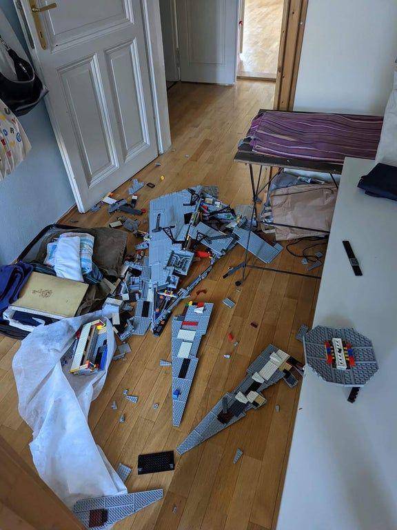 potret momen apes di apartemen (reddit.com/user/onephatkatt)