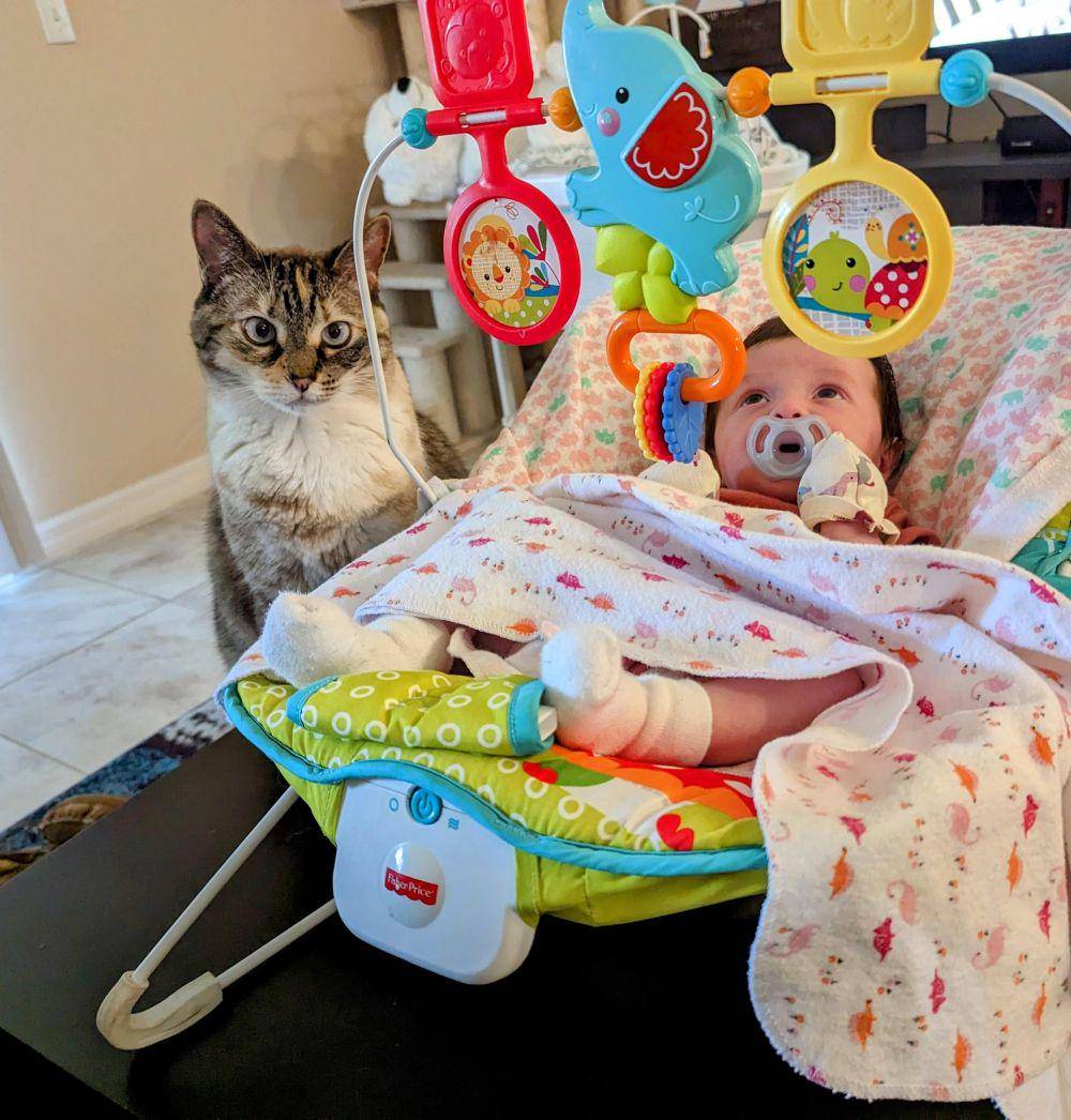 potret kucing ngejagain anak bayi (reddit.com/user/pinkeskimo)