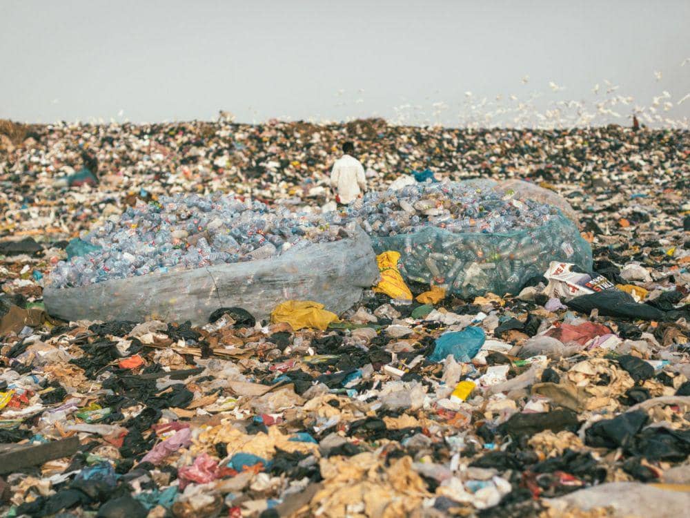 cuplikan dokumenter The Earthshot Prize: Repairing Our Planet (dok. BBC/The Earthshot Prize: Repairing Our Planet)