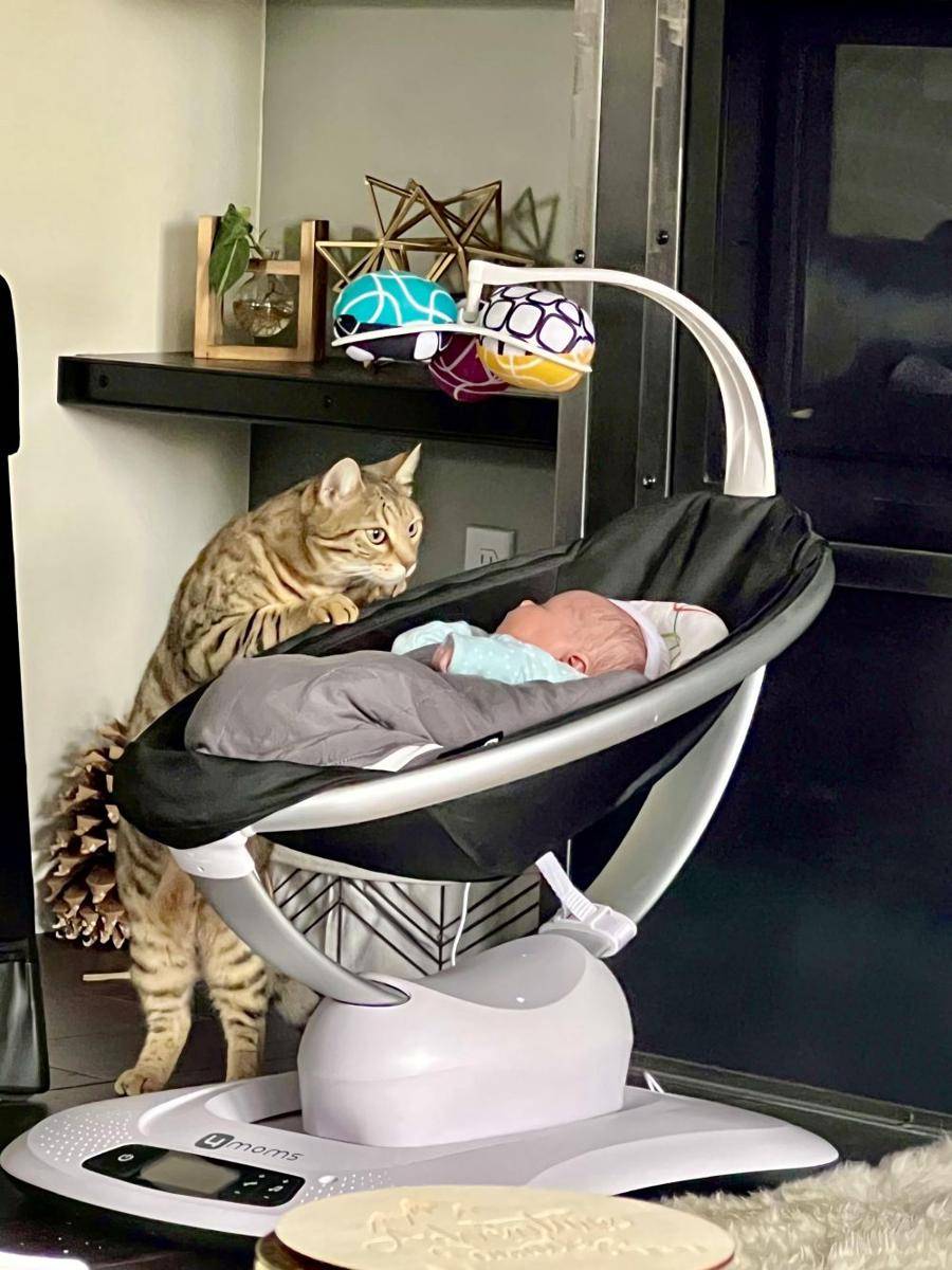 potret kucing ngejagain anak bayi (reddit.com/user/BruceInc)