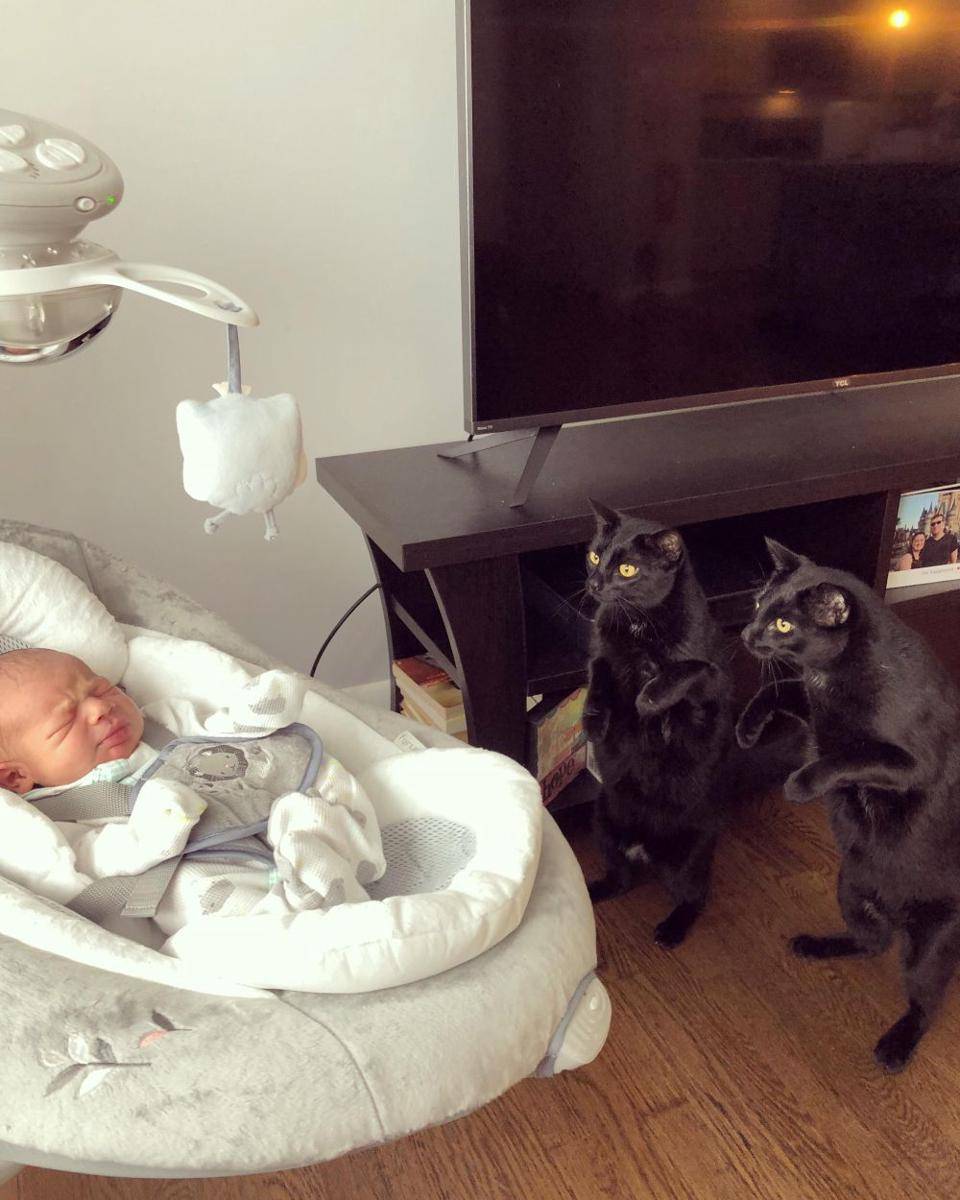 potret kucing ngejagain anak bayi (reddit.com/user/Grodeur)