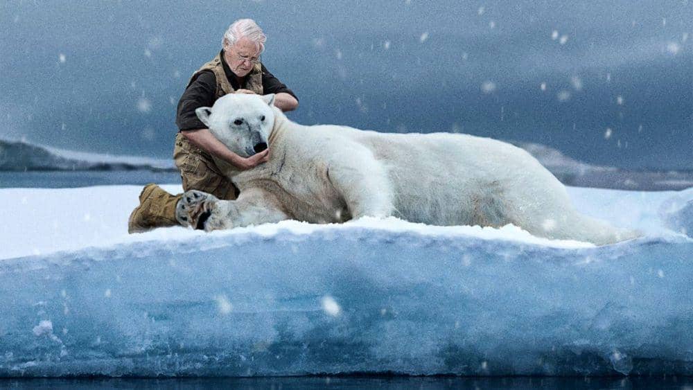 David Attenborough dalam dokumenter Frozen Planet (dok. BBC/Frozen Planet)