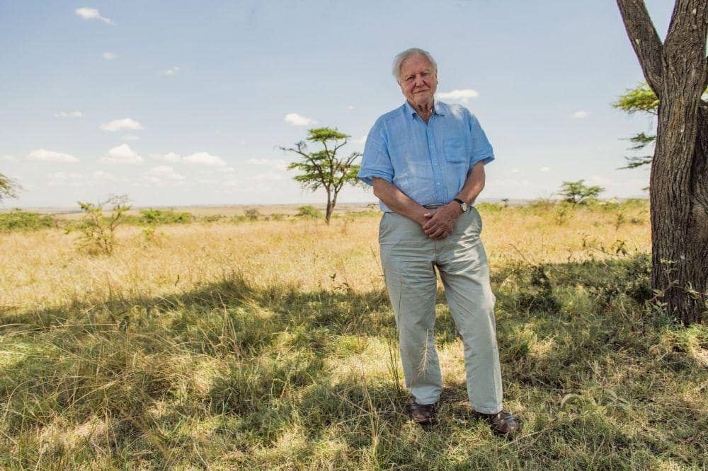 cuplikan dokumenter David Attenborough: A Life on Our Planet (dok. Netflix/David Attenborough: A Life on Our Planet)