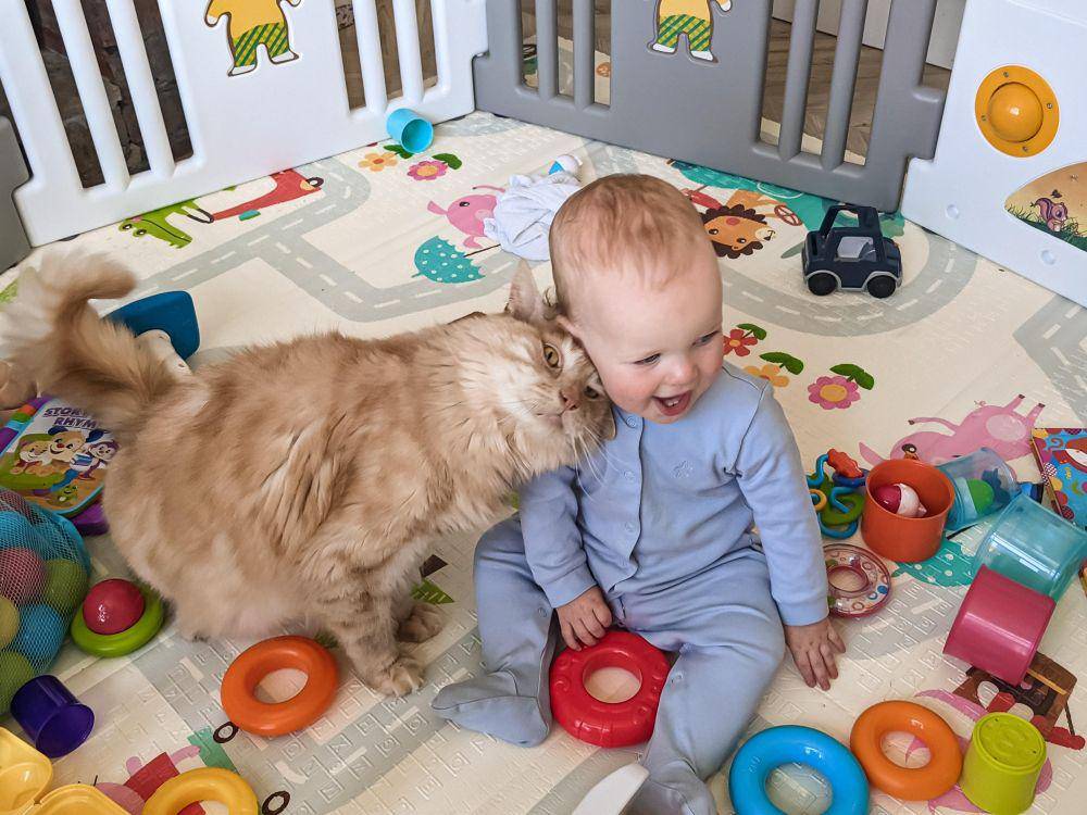 potret kucing ngejagain anak bayi (reddit.com/user/Suspicious_Peach_528)