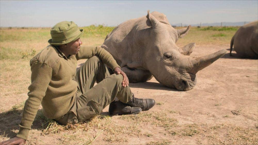 cuplikan dokumenter Extinction: The Facts (dok. BBC/Extinction: The Facts)