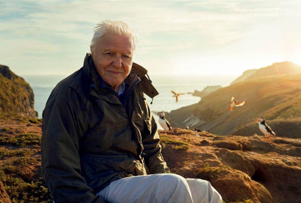 12 Rekomendasi Dokumenter yang Dinaratori David Attenborough