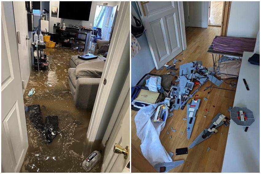 kolase potret momen apes di apartemen (reddit.com/user/lucidsbx | reddit.com/user/onephatkatt)