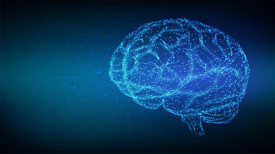 ilustrasi kumpulan neuron yang membentuk otak (pixabay.com/Adalhelma)