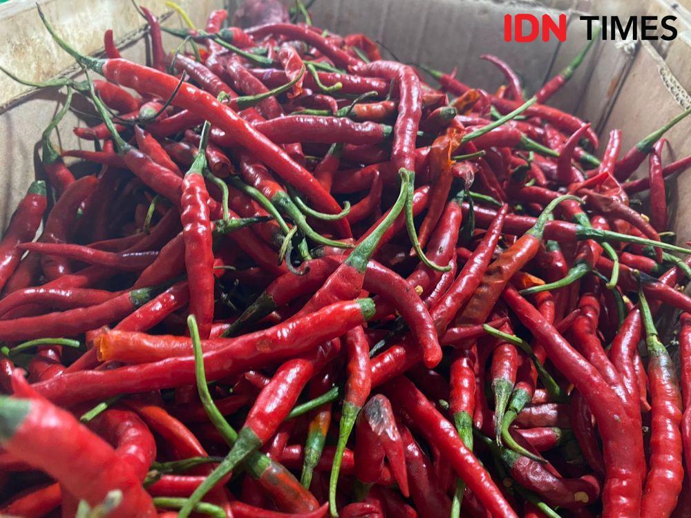 Harga Cabai Tembus Rp120 Ribu per Kg, Mendag Buka Suara