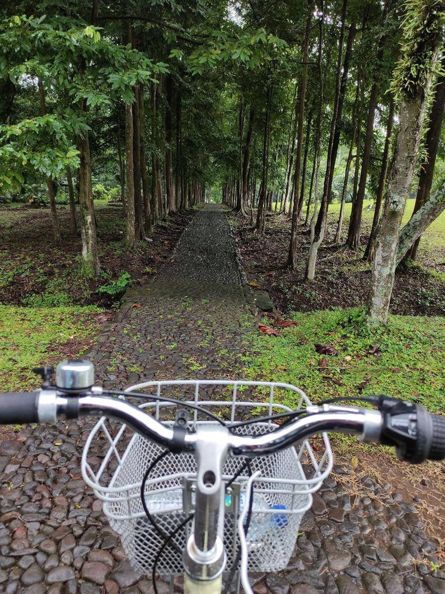 kebun raya purwodadi (dok. pribadi/Arief Rahmat Santoso)