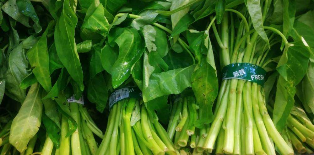 ilustrasi kangkung yang masih segar (unsplash.com/Mufid Majnun)