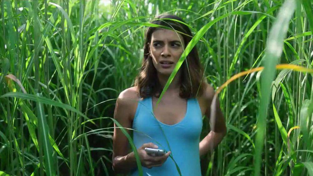 In the Tall Grass (dok. Netflix/In the Tall Grass)