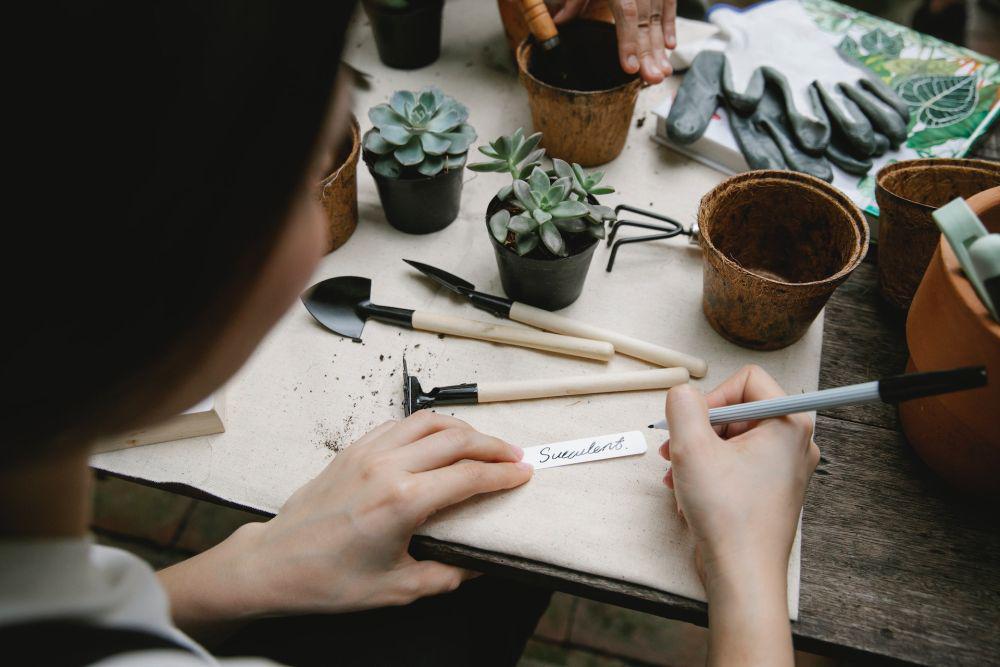 ilustrasi wanita sedang bekerja (pexels.com/Gary Barnes)