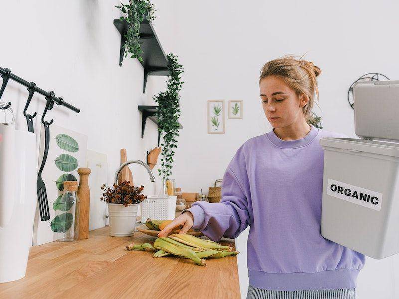 ilustrasi sampah dapur organik (pexels.com/SHVETS production)