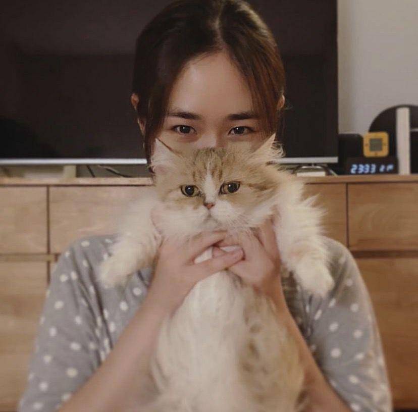 potret Shim Eun Woo dan kucingnya (Instagram.com/sim.eunwoo)