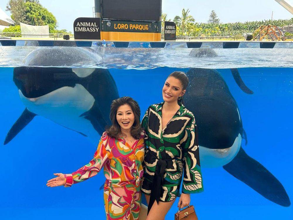 Potret Miss Grand International 2022 Saat Berada di Spanyol (Instagram.com/teresa.mgi)