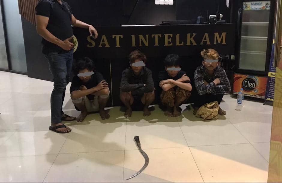 Serang Warung di Surabaya, 4 Orang Anggota Gangster Remaja Ditangkap